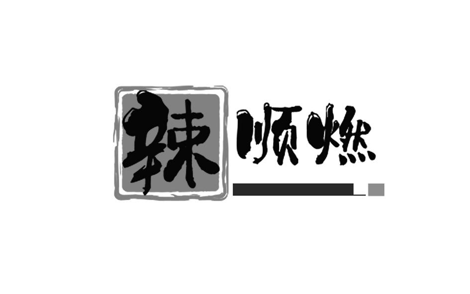 吳芳商標(biāo)注冊信息與企業(yè)個(gè)人商標(biāo)查詢指南 以順燃科技為例